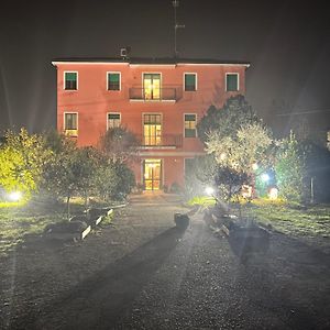 Viaemilia
